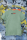 T-Shirt Unisex | Bullsport | Basic 1 | Aloe