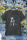 T-Shirt Unisex | Bullsport | Team Bullterrier mit Logo | antracite