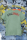 T-Shirt Unisex | Bullsport | Basic 2 | Aloe