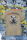 T-Shirt Unisex | Bullsport | Team Englische Bulldogge mit Logo | stone