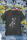 T-Shirt Unisex | Bullsport | Team French Bulldog mit Logo | antracite