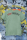 T-Shirt Unisex | Bullsport | Team French Bulldog | aloe