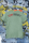 T-Shirt Unisex | Bullsport | Team Mastiff | aloe