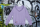 Hoodie Unisex | Bullsport | Basic | lavender