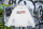 Hoodie Unisex | Bullsport | Basic | weiß