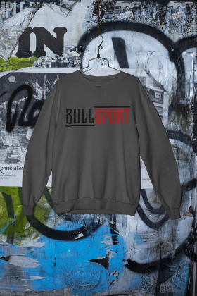 Sweatshirt Unisex | Bullsport | Basic 1 | antracite