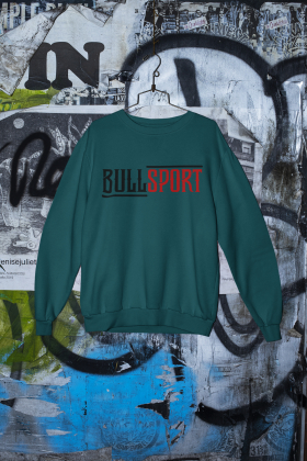 Sweatshirt Unisex | Bullsport | Basic 1 | stargazer