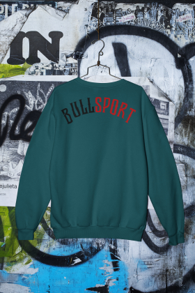 Sweatshirt Unisex | Bullsport | Basic 2 | stargazer