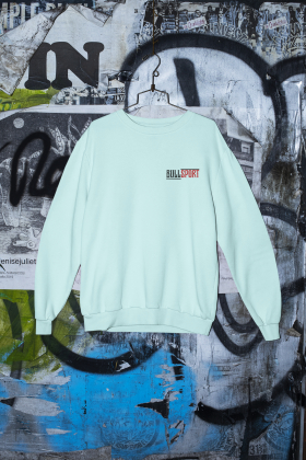 Sweatshirt Unisex | Bullsport | Basic 2 | ice blue