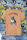 T-Shirt Unisex | Bullsport | Team Conti mit Logo | Latte