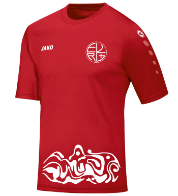 Trikot Sport für Kinder/Herren | Jako Team, rot...