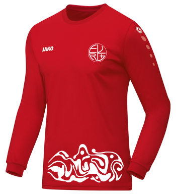 Trikot Sport für Kinder/Herren | Jako Team, rot...