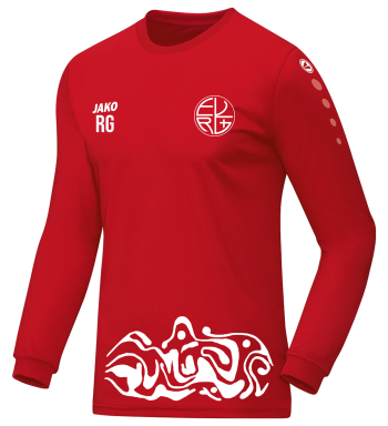 Trikot Sport für Kinder/Herren | Jako Team, rot langarm | EVRG